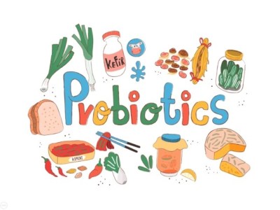 The “Pre” and “Pro” of the Gut&nbsp;Microbiome